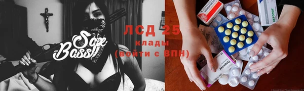 хмурый Алексин