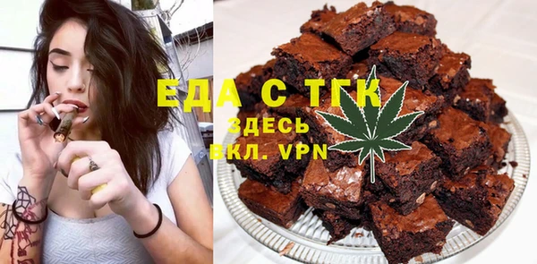 хмурый Алексин