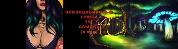 индика Лабытнанги