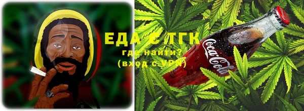 индика Лабытнанги