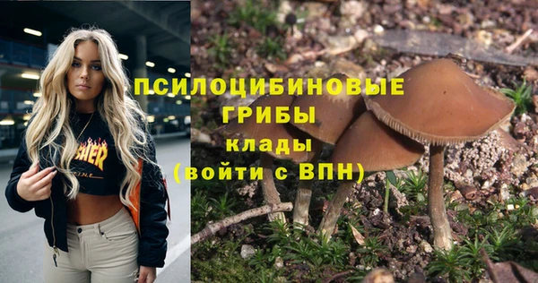 круглые Алзамай