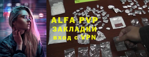 хмурый Алексин