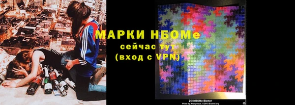 хмурый Алексин
