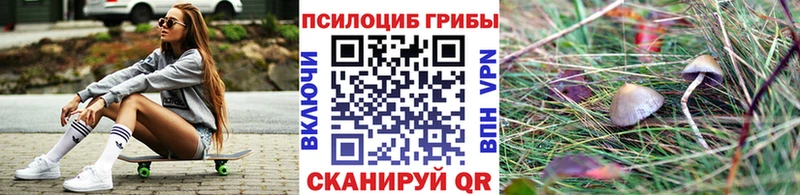 Псилоцибиновые грибы мухоморы где купить Старый Оскол